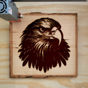 49894_wood-laser-1.jpg