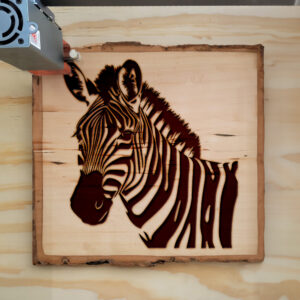 49915_wood-laser-1.jpg