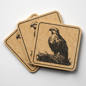 49921_coaster-1.jpg