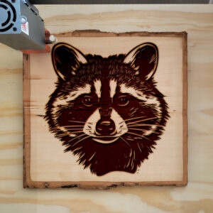 49937_wood-laser-1.jpg