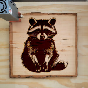 49939_wood-laser-1.jpg