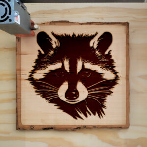 49941_wood-laser-1.jpg