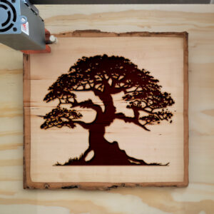 49957_wood-laser-1.jpg