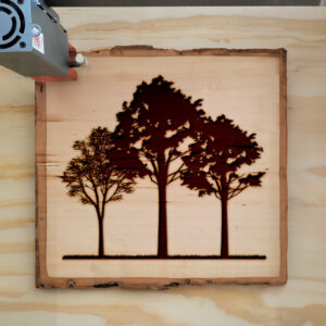 49965_wood-laser-1.jpg