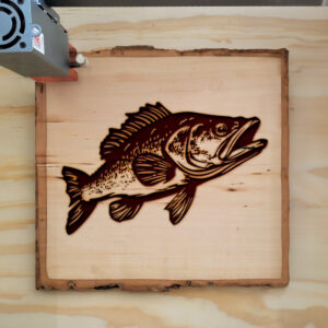 49983_wood-laser-1.jpg
