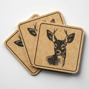 49987_coaster-1.jpg