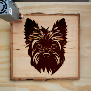 50033_wood-laser-1.jpg