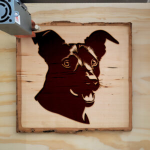 50053_wood-laser-1.jpg