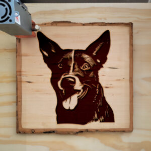 50055_wood-laser-1.jpg