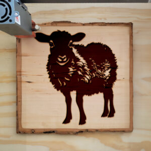 50087_wood-laser-1.jpg