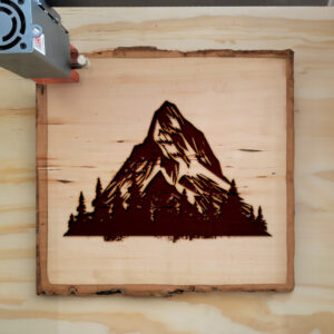 50119_wood-laser-1.jpg