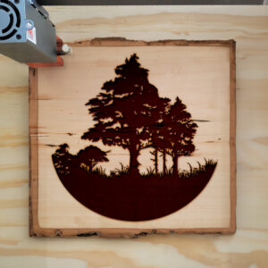 50129_wood-laser-1.jpg