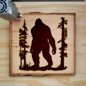 50151_wood-laser-1.jpg