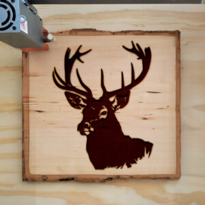 50163_wood-laser-1.jpg