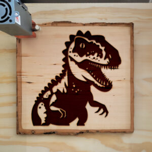 50165_wood-laser-1.jpg