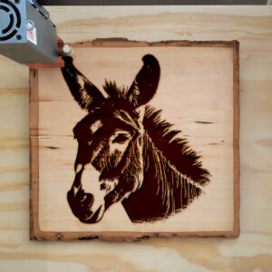 50169_wood-laser-1.jpg