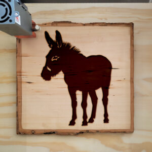 50173_wood-laser-1.jpg