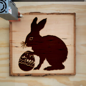 50189_wood-laser-1.jpg