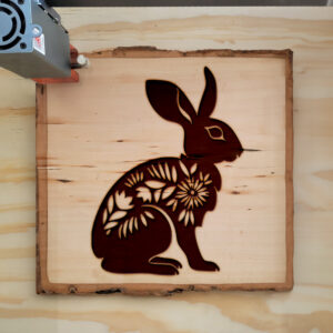 50193_wood-laser-1.jpg