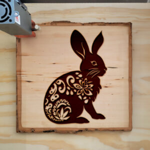 50195_wood-laser-1.jpg