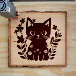 50239_wood-laser-1.jpg