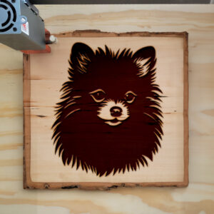 50251_wood-laser-1.jpg