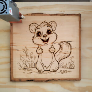 65073_wood-laser-1.jpg