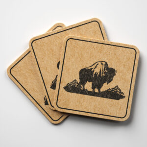 65141_coaster-1.jpg