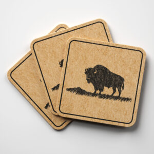65159_coaster-1.jpg