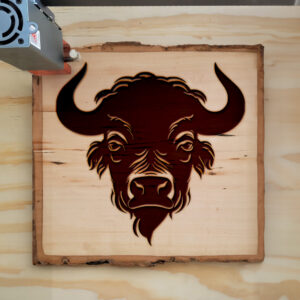 65167_wood-laser-1.jpg