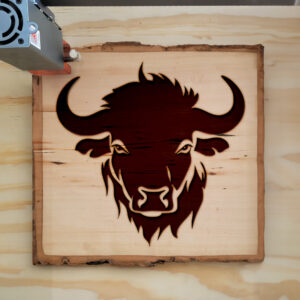 65173_wood-laser-1.jpg