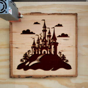 65267_wood-laser-1.jpg