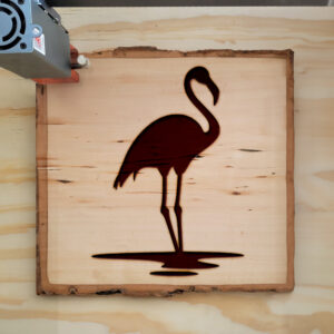 65305_wood-laser-1.jpg