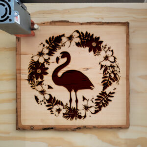 65321_wood-laser-1.jpg