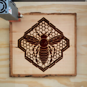 65383_wood-laser-1.jpg