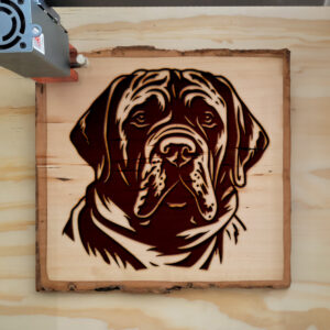 65387_wood-laser-1.jpg