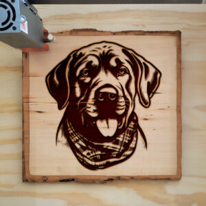 65389_wood-laser-1.jpg