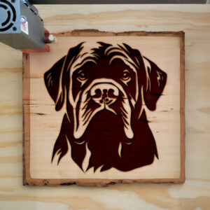 65401_wood-laser-1.jpg