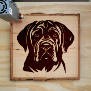 65403_wood-laser-1.jpg