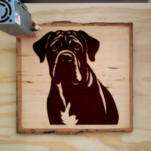 65411_wood-laser-1.jpg