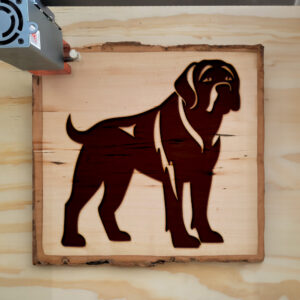 65421_wood-laser-1.jpg