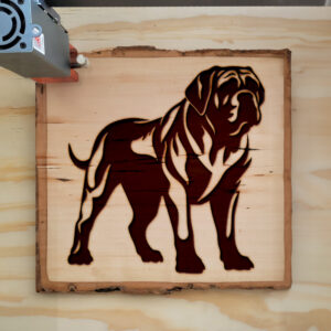 65423_wood-laser-1.jpg
