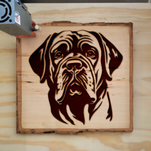 65431_wood-laser-1.jpg