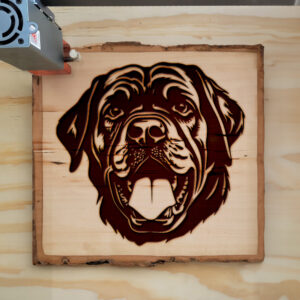65433_wood-laser-1.jpg