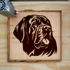 65437_wood-laser-1.jpg