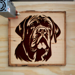 65441_wood-laser-1.jpg