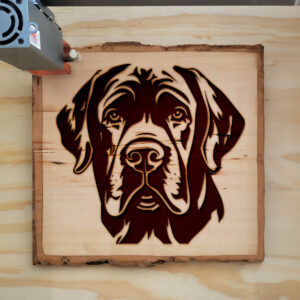 65445_wood-laser-1.jpg