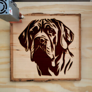 65461_wood-laser-1.jpg