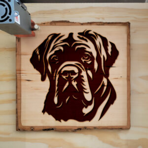 65465_wood-laser-1.jpg