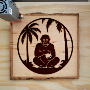 65477_wood-laser-1.jpg